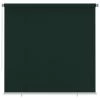 VidaXL Store roulant d'extérieur 240x230 cm Vert foncé PEHD